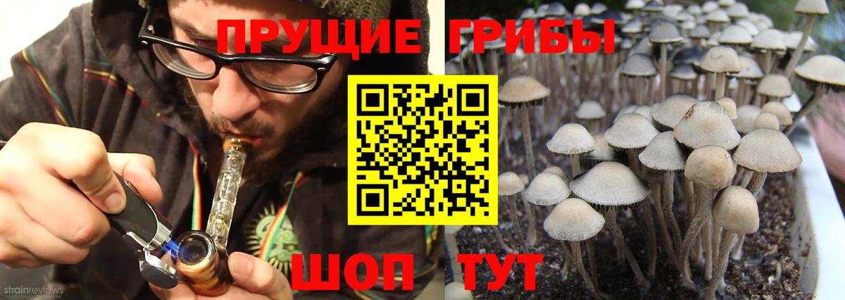 Ейск  Псилоцибиновые грибы GOLDEN TEACHER  Вход с VPN 